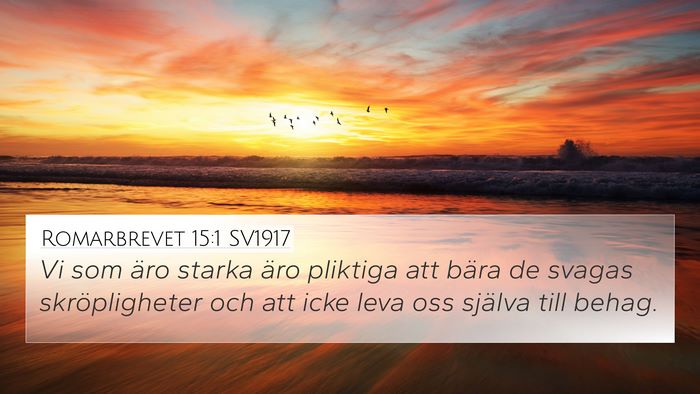 Romarbrevet 15:1 SV1917 Bible Verse Image