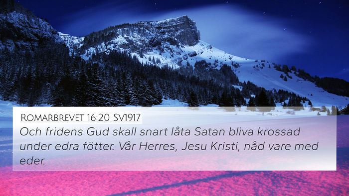 Romarbrevet 16:20 SV1917 Bible Verse Image