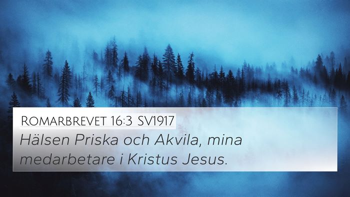 Romarbrevet 16:3 SV1917 Bible Verse Image
