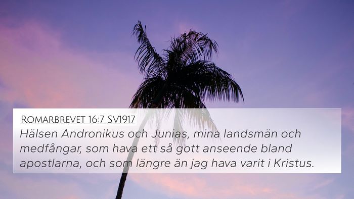 Romarbrevet 16:7 SV1917 Bible Verse Image