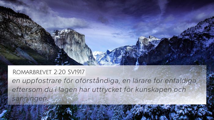 Romarbrevet 2:20 SV1917 Bible Verse Image