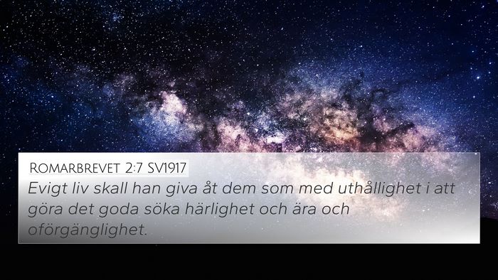 Romarbrevet 2:7 SV1917 Bible Verse Image