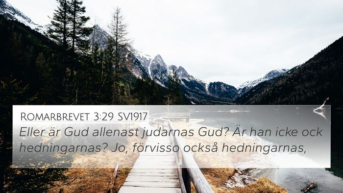 Romarbrevet 3:29 SV1917 Bible Verse Image