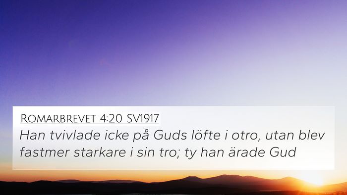 Romarbrevet 4:20 SV1917 Bible Verse Image