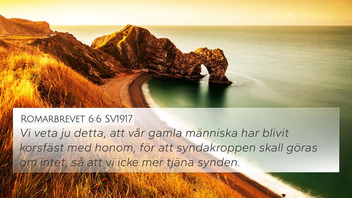 Romarbrevet 6:6 SV1917 Bible Verse Image