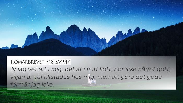 Romarbrevet 7:18 SV1917 Bible Verse Image