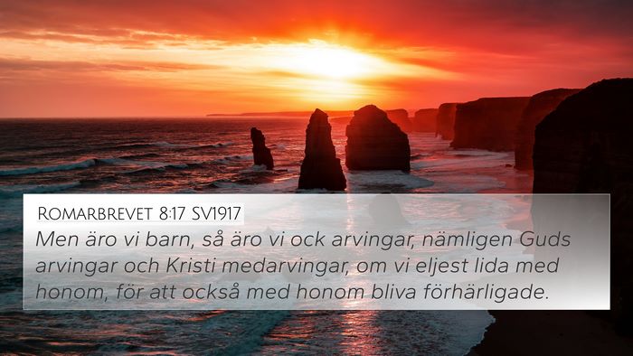 Romarbrevet 8:17 SV1917 Bible Verse Image