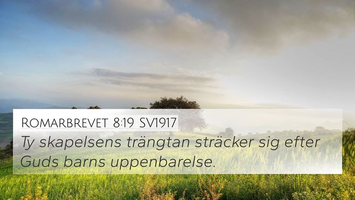 Romarbrevet 8:19 SV1917 Bible Verse Image
