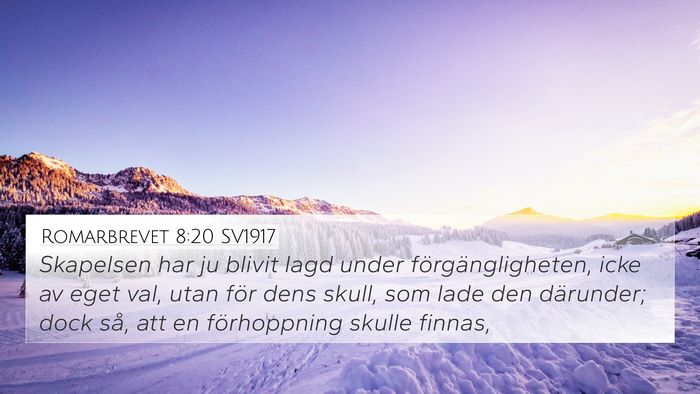 Romarbrevet 8:20 SV1917 Bible Verse Image