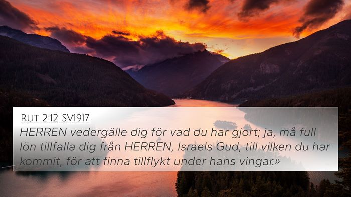 Rut 2:12 SV1917 Bible Verse Image