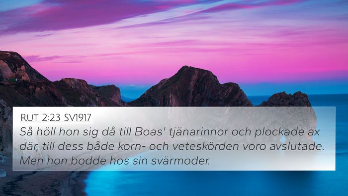 Rut 2:23 SV1917 4K Wallpaper - Så höll hon sig då till Boas' tjänarinnor och - 4K Wallpaper Bible Verse