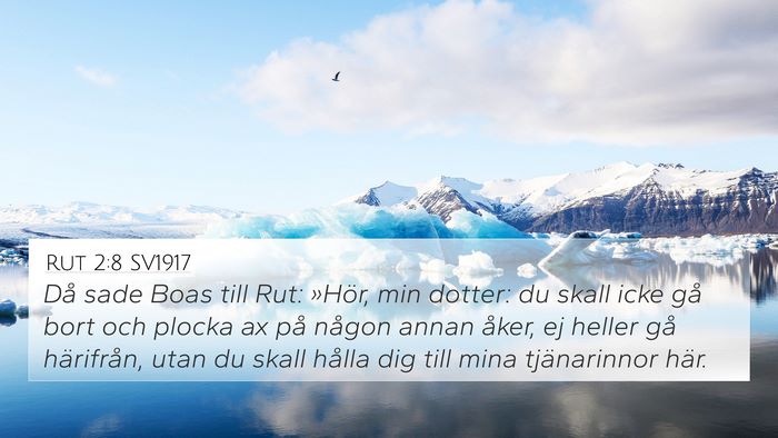 Rut 2:8 SV1917 Bible Verse Image