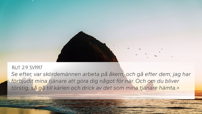 Rut 2:9 SV1917 4K Wallpaper - Se efter, var skördemännen arbeta på åkern, - 4K Wallpaper Bible Verse