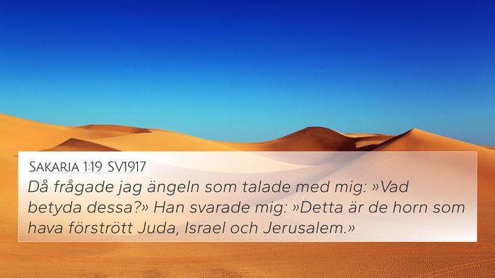 Sakaria 1:19 SV1917 Bible Verse Image