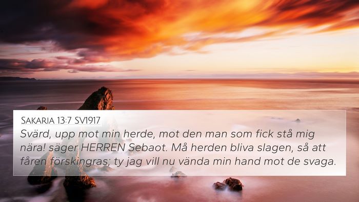 Sakaria 13:7 SV1917 Bible Verse Image