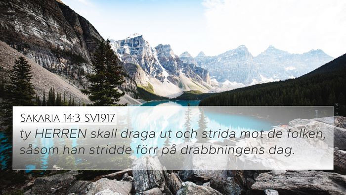Sakaria 14:3 SV1917 Bible Verse Image
