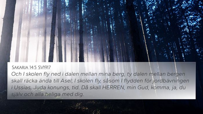 Sakaria 14:5 SV1917 Bible Verse Image