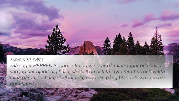 Sakaria 3:7 SV1917 Bible Verse Image
