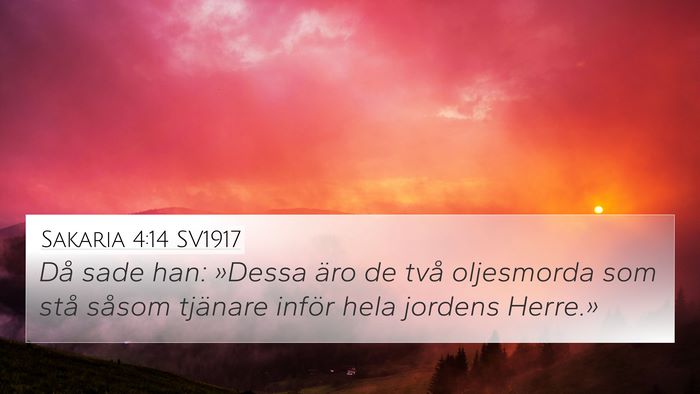 Sakaria 4:14 SV1917 Bible Verse Image