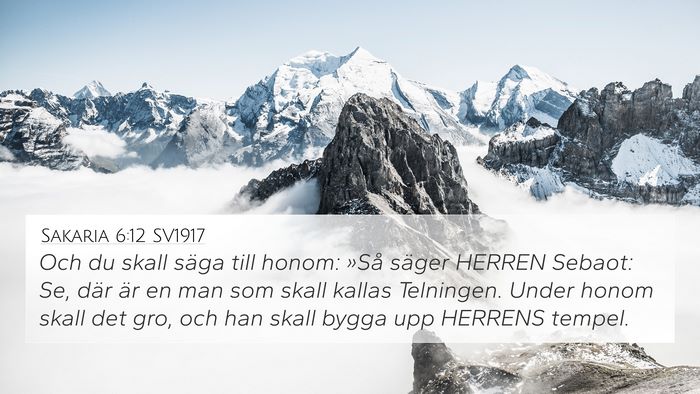 Sakaria 6:12 SV1917 Bible Verse Image