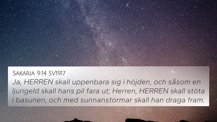 Sakaria 9:14 SV1917 Bible Verse Image
