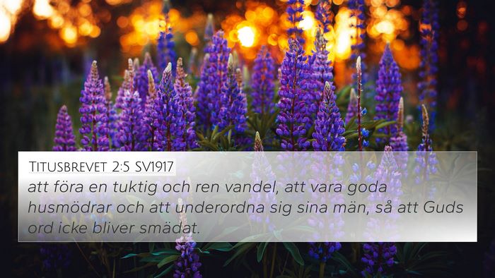 Titusbrevet 2:5 SV1917 Bible Verse Image