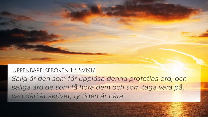 Uppenbarelseboken 1:3 SV1917 Bible Verse Image