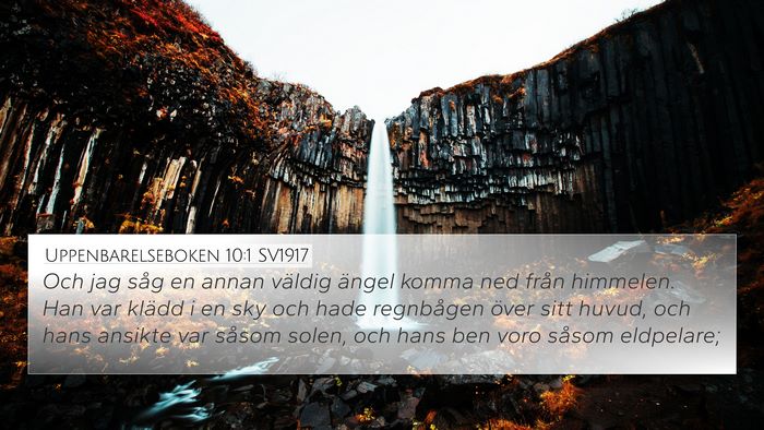 Uppenbarelseboken 10:1 SV1917 Bible Verse Image
