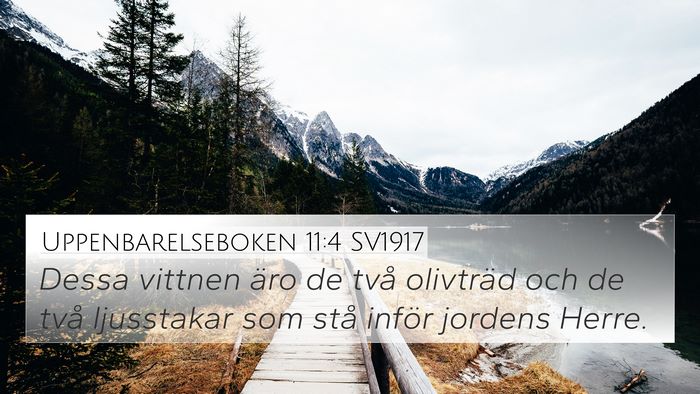 Uppenbarelseboken 11:4 SV1917 Bible Verse Image