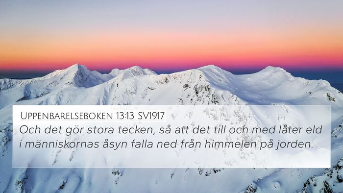 Uppenbarelseboken 13:13 SV1917 Bible Verse Image