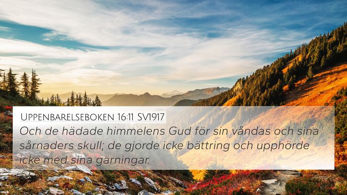 Uppenbarelseboken 16:11 SV1917 Bible Verse Image