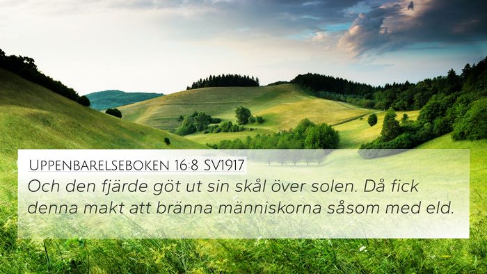 Uppenbarelseboken 16:8 SV1917 Bible Verse Image