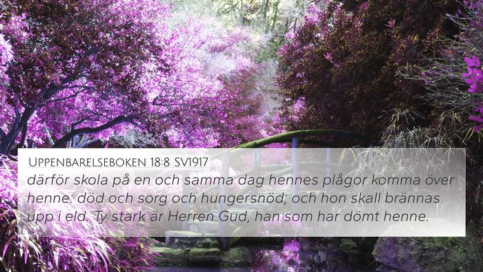 Uppenbarelseboken 18:8 SV1917 Bible Verse Image