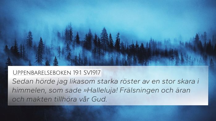 Uppenbarelseboken 19:1 SV1917 Bible Verse Image