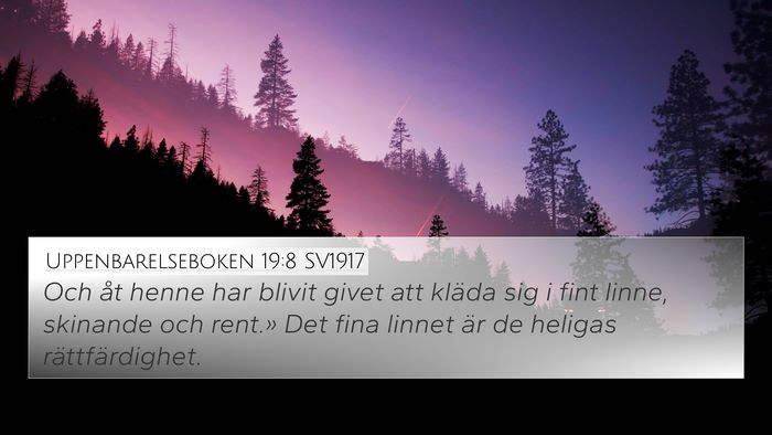 Uppenbarelseboken 19:8 SV1917 Bible Verse Image