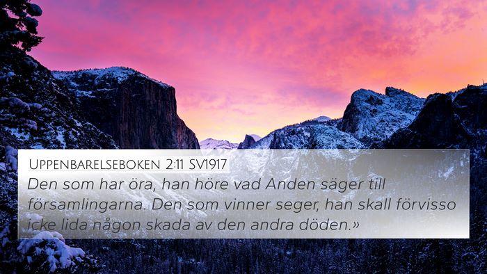 Uppenbarelseboken 2:11 SV1917 Bible Verse Image