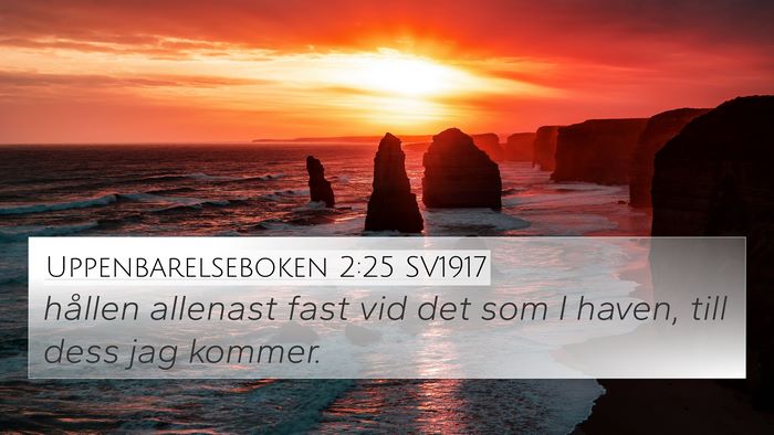 Uppenbarelseboken 2:25 SV1917 Bible Verse Image