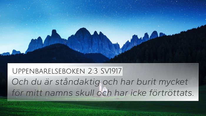 Uppenbarelseboken 2:3 SV1917 Bible Verse Image