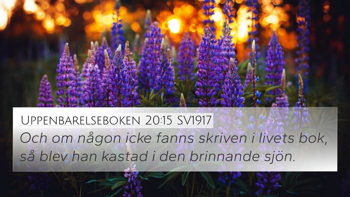 Uppenbarelseboken 20:15 SV1917 Bible Verse Image