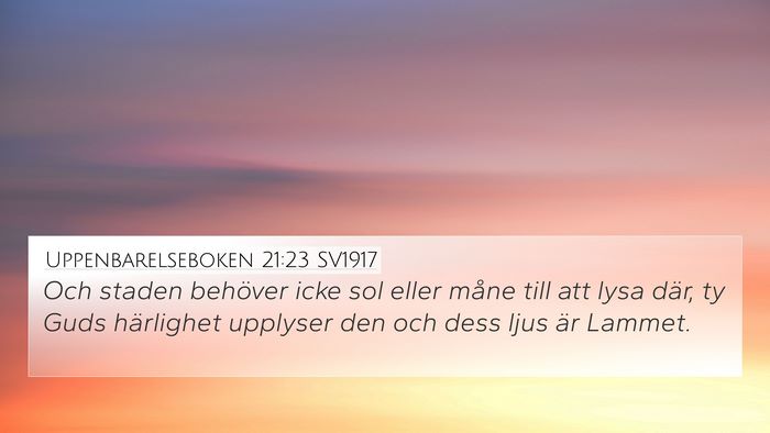 Uppenbarelseboken 21:23 SV1917 Bible Verse Image
