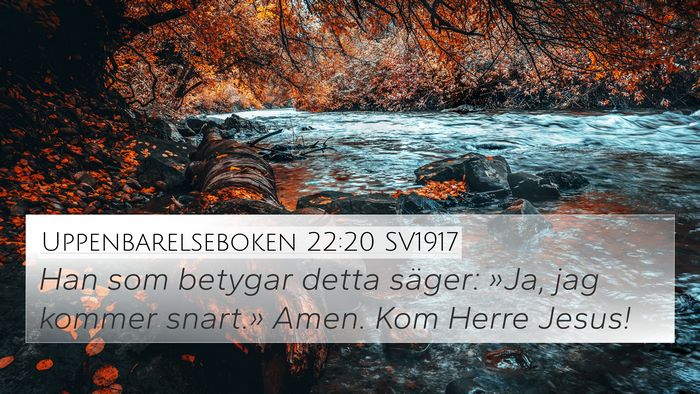 Uppenbarelseboken 22:20 SV1917 Bible Verse Image