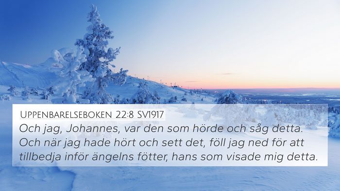 Uppenbarelseboken 22:8 SV1917 Bible Verse Image