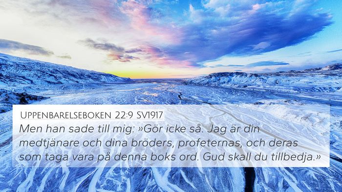 Uppenbarelseboken 22:9 SV1917 Bible Verse Image