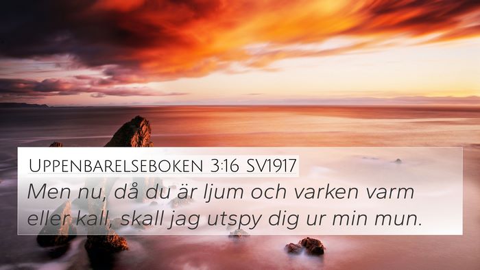 Uppenbarelseboken 3:16 SV1917 Bible Verse Image