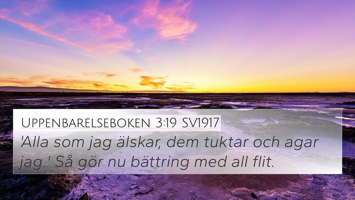 Uppenbarelseboken 3:19 SV1917 Bible Verse Image