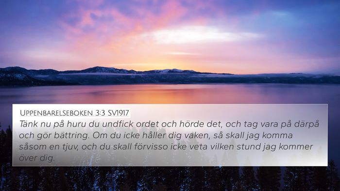 Uppenbarelseboken 3:3 SV1917 Bible Verse Image