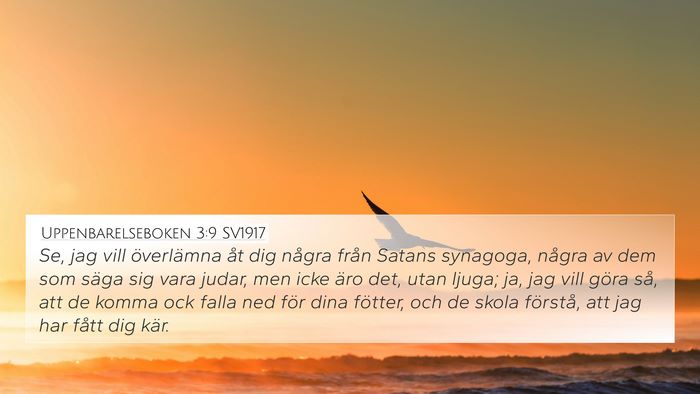 Uppenbarelseboken 3:9 SV1917 Bible Verse Image