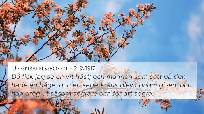 Uppenbarelseboken 6:2 SV1917 Bible Verse Image
