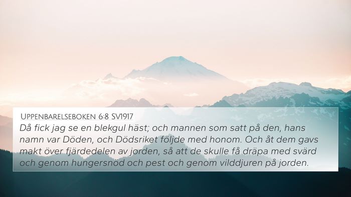 Uppenbarelseboken 6:8 SV1917 Bible Verse Image