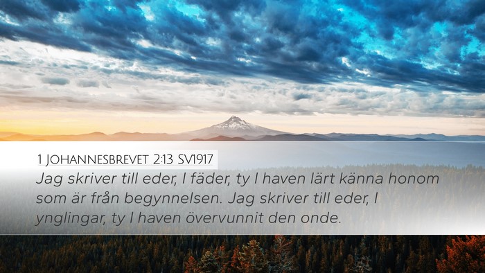 1 Johannesbrevet 2:13 SV1917 Desktop Wallpaper - Jag skriver till eder, I fäder, ty I haven lärt - Desktop Bible Verse Wallpaper